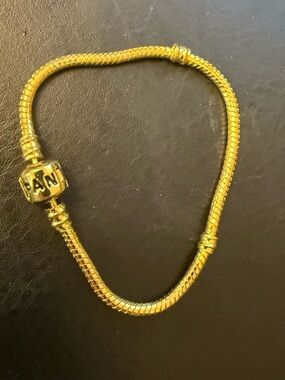 Gold-Tone Snake Chain Bracelet with Bead Clasp